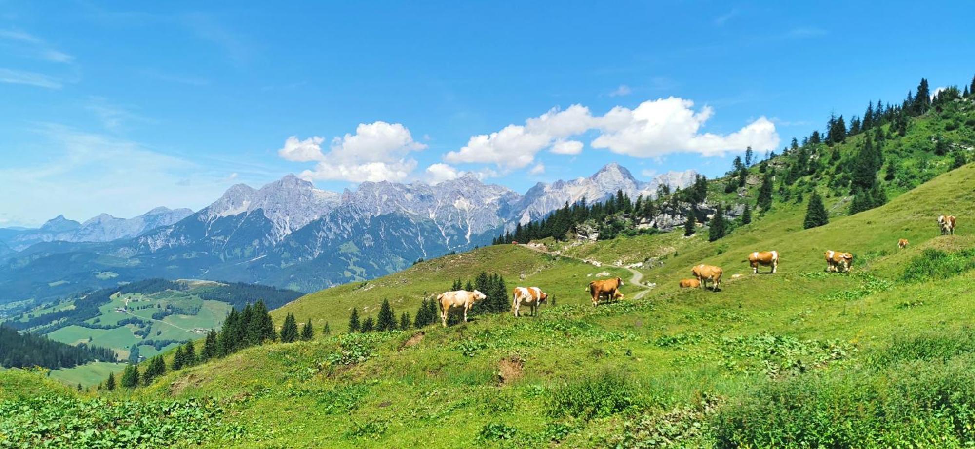 Maria Alm - Komfortables Apartment Gipfelglueck Saalfelden am Steinernen Meer Kültér fotó